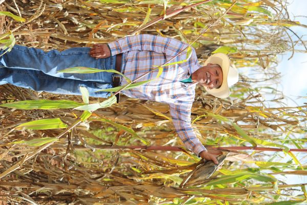 foto:Eduardo  Hernández Herrera - lo hecho en México