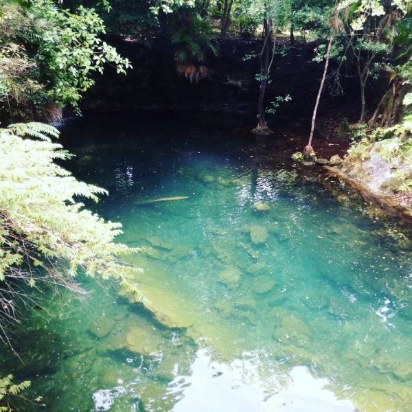 foto:Josue Israel Chacon Lopez - lo hecho en México