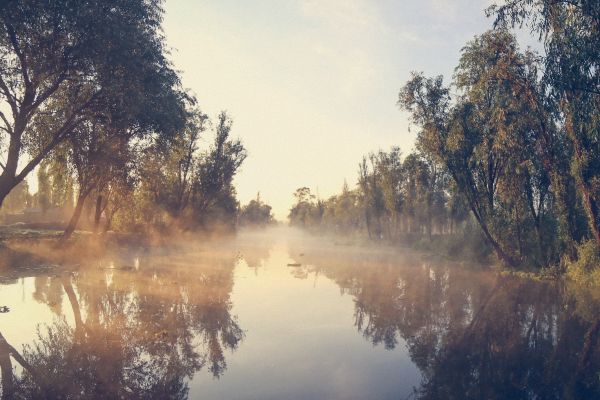 foto:Roxana  Valle Herrera - lo hecho en México