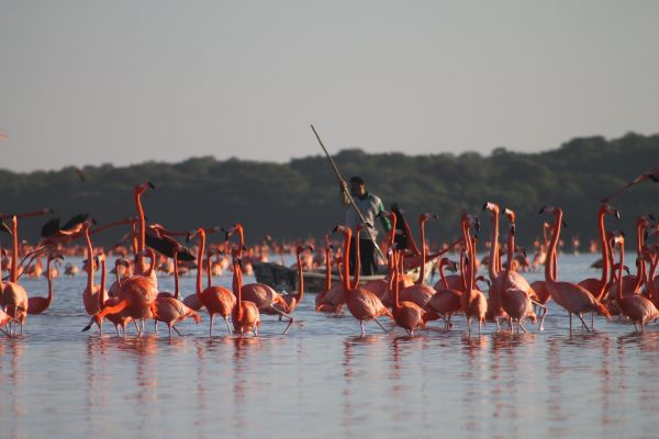foto:LUIS ANTONIO CRUZ PEREZ - lo hecho en México