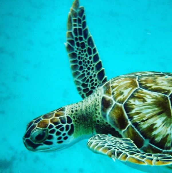 foto:Christian Alberto Bravo Gonzalez - lo hecho en México