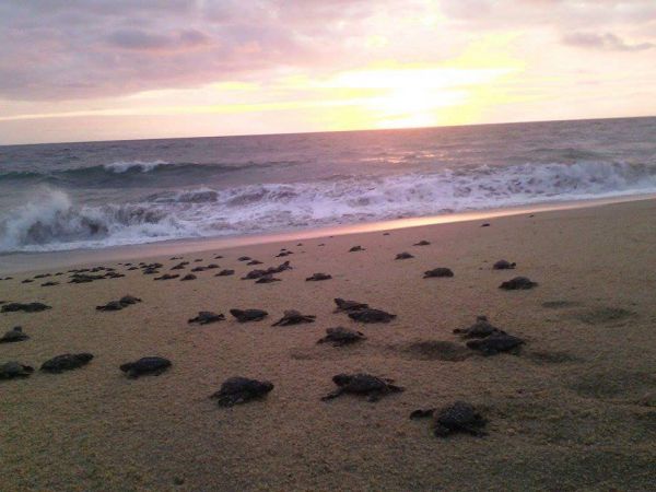 foto:Omar Muñoz Oliva - lo hecho en México