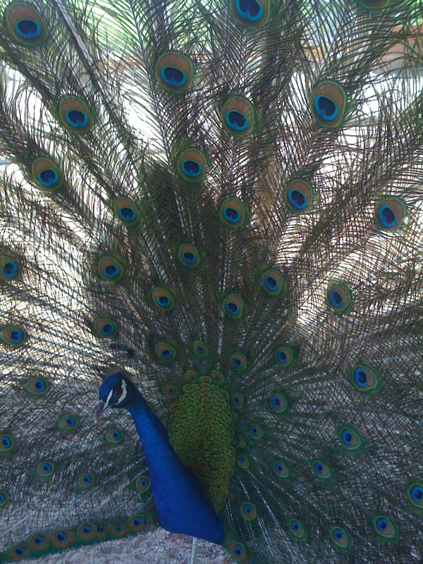 foto:Elizabeth Romero Mancilla - lo hecho en México