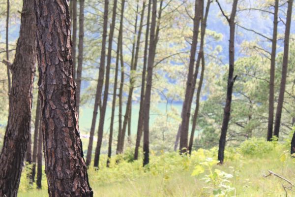 foto:Marco Antonio Villaseñor Madrigal - lo hecho en México