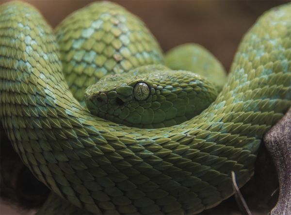 foto:Jesús Emilio Álvarez Espinosa - lo hecho en México