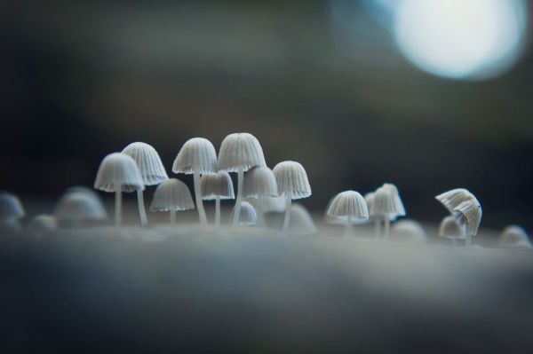 foto:María Elena Luna Cortés - lo hecho en México