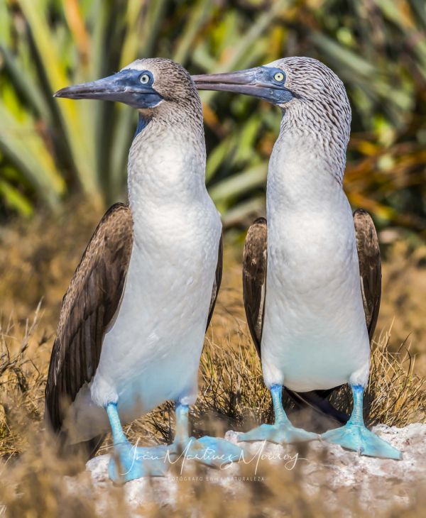 foto:Ivan Martinez Monroy - lo hecho en México