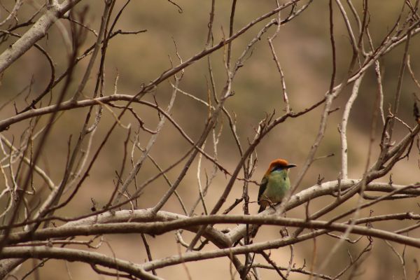 foto:Saúl  Romero Álvarez - lo hecho en México