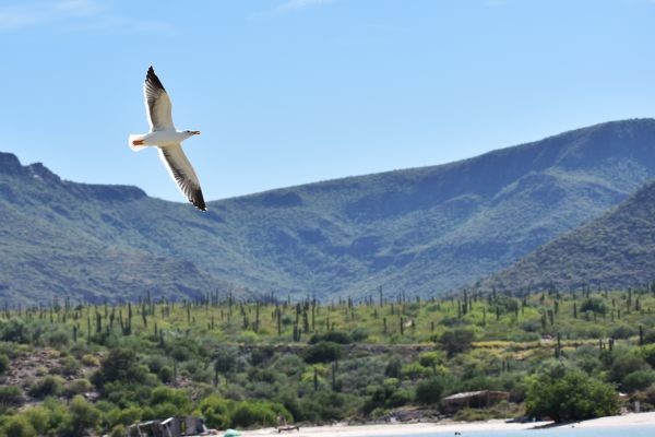 foto:Noe Castro Castro - lo hecho en México