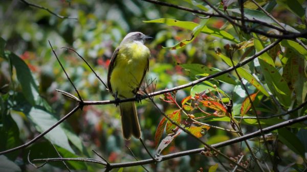 foto:Lauriano Baldemar Cruz Montejo - lo hecho en México