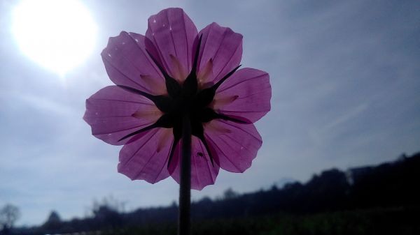 foto:Agustin Cozaya Morales - lo hecho en México