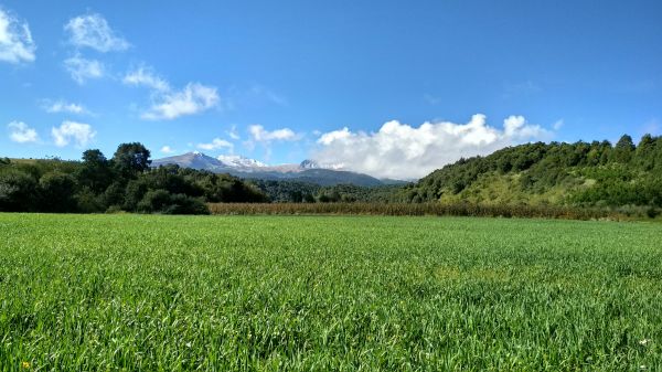 foto:Mario Daniel  Ortiz Estrada - lo hecho en México
