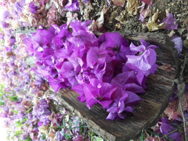 foto:María Azucena  Morales  Gutiérrez  - lo hecho en México