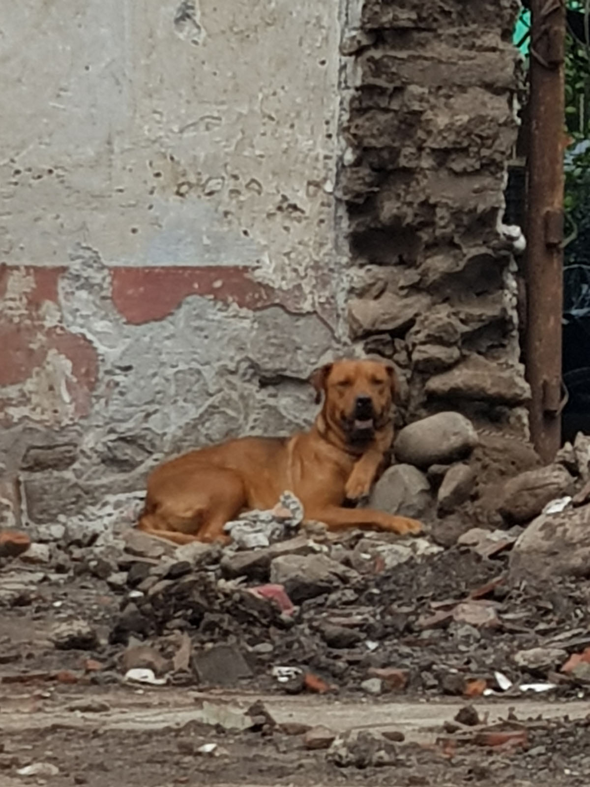 foto:Aurora  Zaga Maya  - lo hecho en México