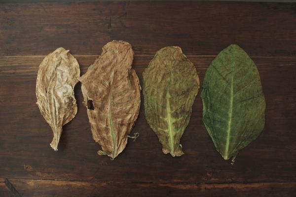 foto:juan pablo gonzalez  alvarez tostado - lo hecho en México