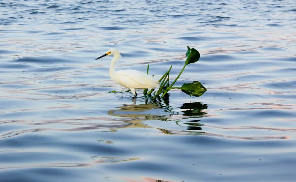 foto:Isaac Guzmán Becerril - lo hecho en México