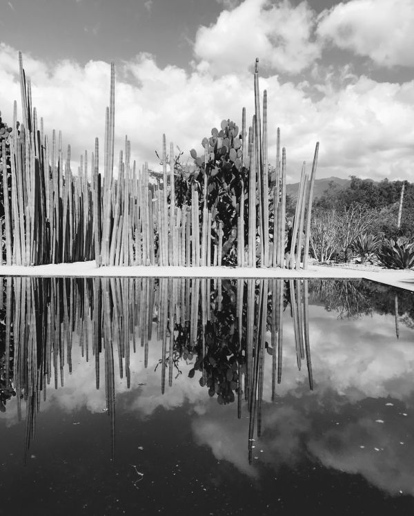foto:Mauricio Frutos Rubio - lo hecho en México