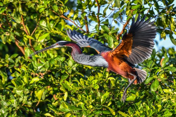 foto:René Augusto Denis Aguilar - lo hecho en México