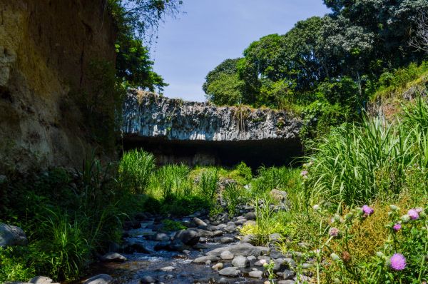 foto:José Daniel  Herrera López  - lo hecho en México