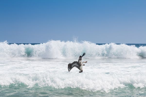 foto:Ana Lucía Nieto Frías - lo hecho en México
