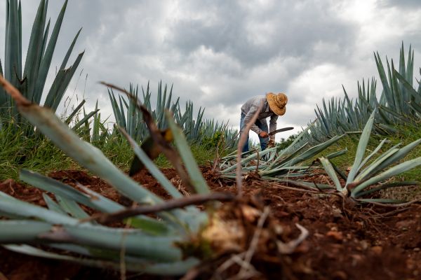 foto:Alan Rodrigo Villaverde Mendoza - lo hecho en México