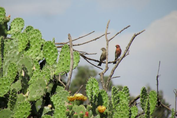 foto:ALEJANDRO RENTERIA ALMARAZ - lo hecho en México