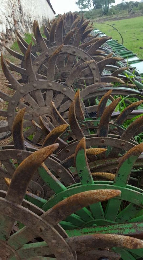 foto:Jennifer Acevedo Benitez - lo hecho en México