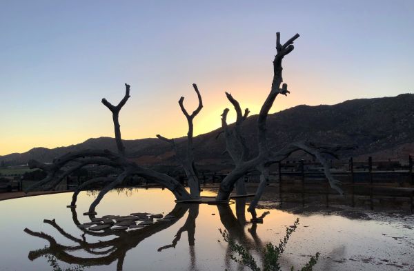 foto:Gerardo Vazquez  Galvan - lo hecho en México