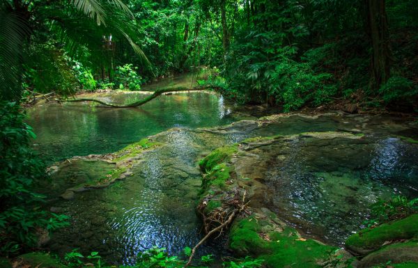 foto:Rodrigo  Alcocer García - lo hecho en México
