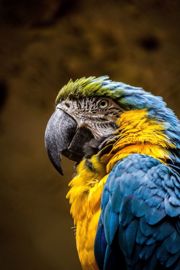 foto:José Gudiño Coronel - lo hecho en México