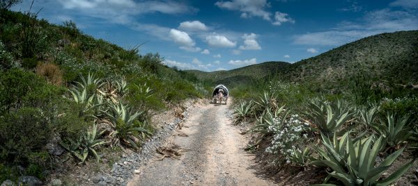 foto:Jorge Salum Del Palacio - lo hecho en México