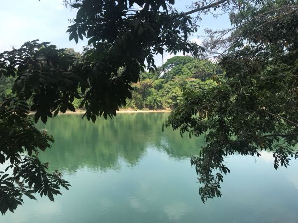 foto:María de Lourdes Silvia Saez de Nanclares  Lemus - lo hecho en México