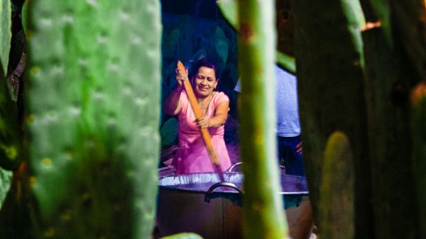 foto:Nyx Yael Rodriguez Rodriguez - lo hecho en México