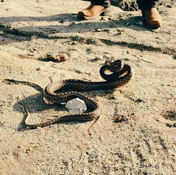 foto:Francisco  Acosta Peña - lo hecho en México