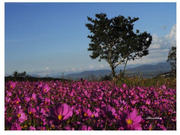 foto:Clara Aguilar Olvera - lo hecho en México