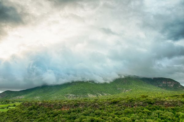 foto:David Barrera Martínez - lo hecho en México