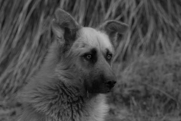 foto:Eddie Martinez Méndez  - lo hecho en México