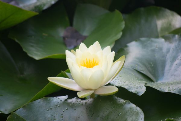 foto:Jesús Alberto García García - lo hecho en México