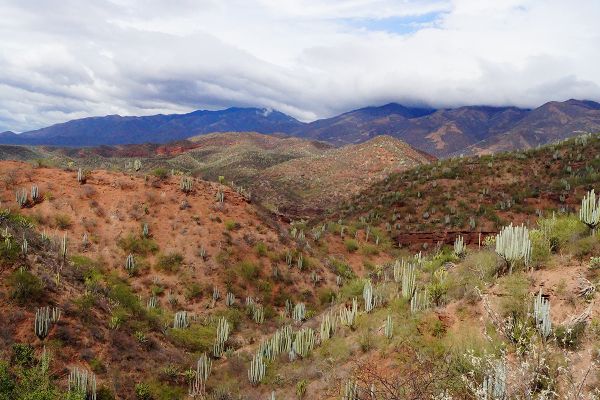 foto:JOSÉ JUAN NICANOR MÉNDEZ - lo hecho en México
