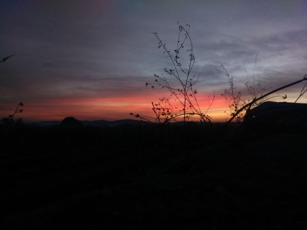 foto:David Salvador  Bahena Soto  - lo hecho en México
