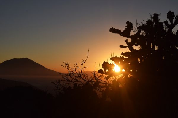 foto:Maria Guadalupe  Gomez  Lopez  - lo hecho en México
