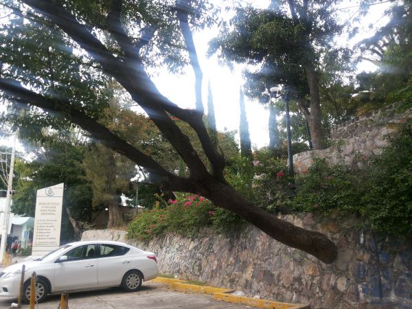foto:Rosa de Guadalupe Ahumada García - lo hecho en México