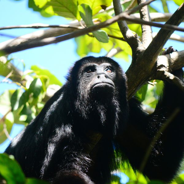 foto:Marycruz Pérez  Reyes - lo hecho en México