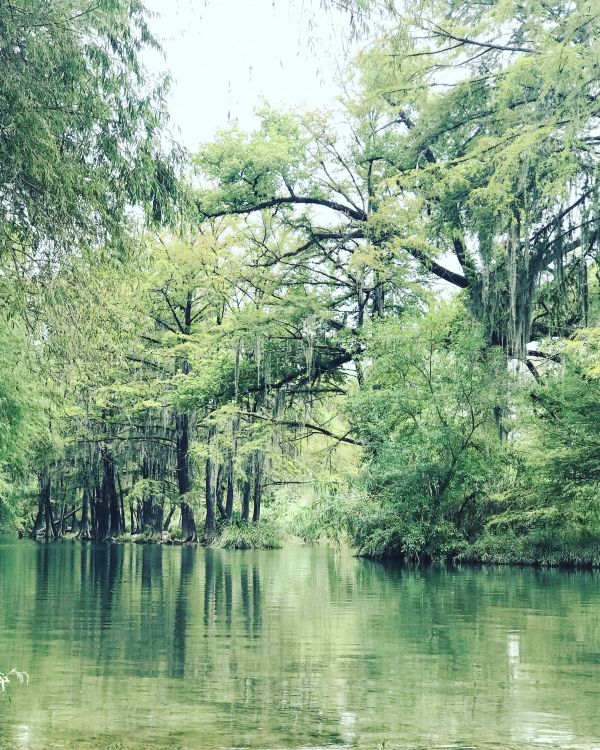 foto:Lauro Pedraza Rodriguez - lo hecho en México