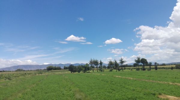 foto:Evelyn Arisai Argüelles Monajraz - lo hecho en México