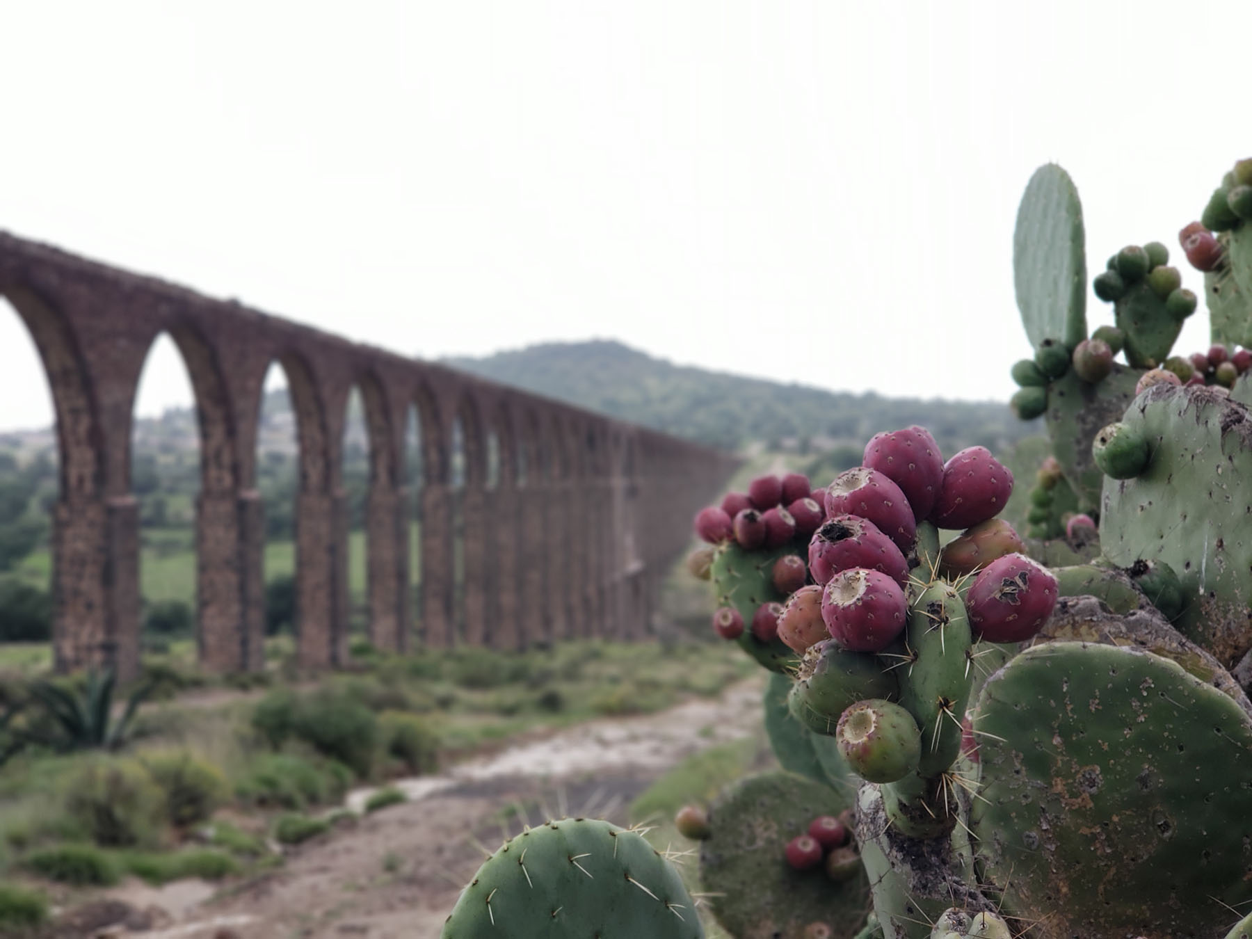 foto:Jafet Tovar Ruiz - lo hecho en México