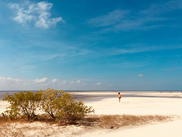 foto:Sophia Constanza  Sagnelli Ramírez  - lo hecho en México