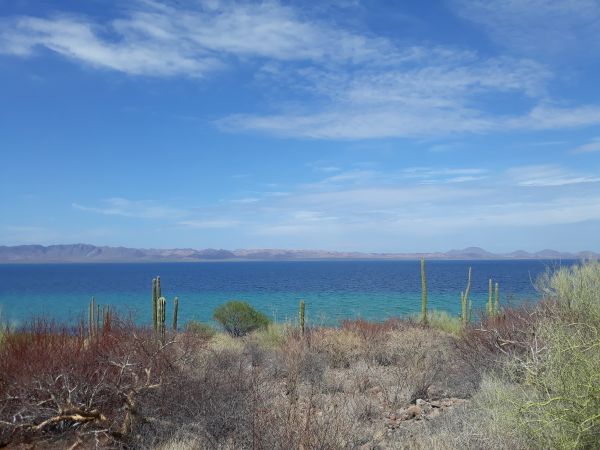 foto:Hugo Morales  Paniagua  - lo hecho en México