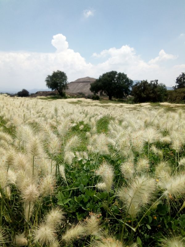 foto:Claudia Nayeli  Guerra Guerra - lo hecho en México