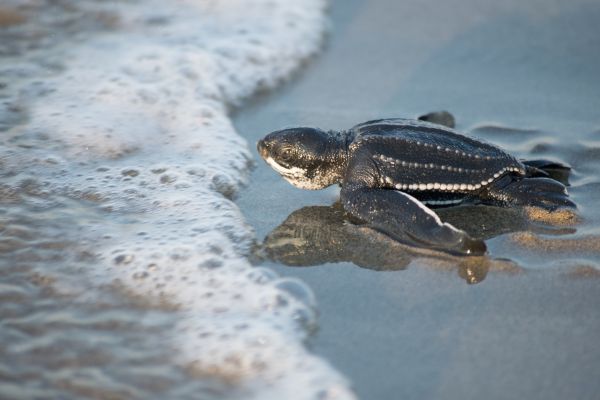 foto:Jenny Carmen Sánchez Aguirre - lo hecho en México